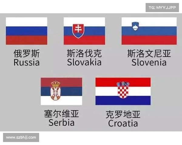 欧洲杯各国旗帜的魅力与象征意义解析之旅